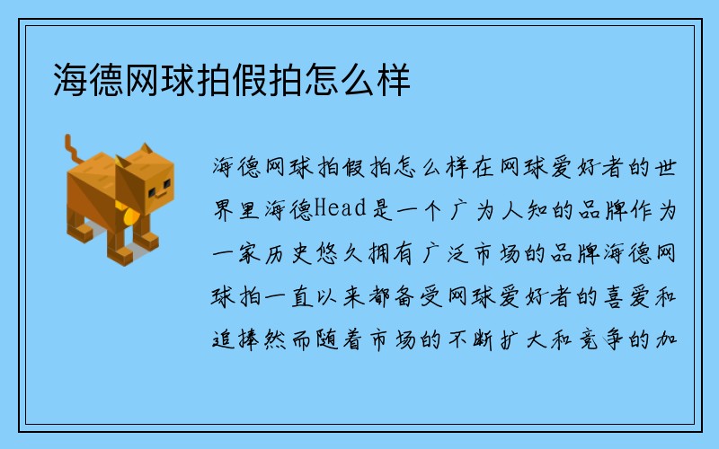 海德网球拍假拍怎么样