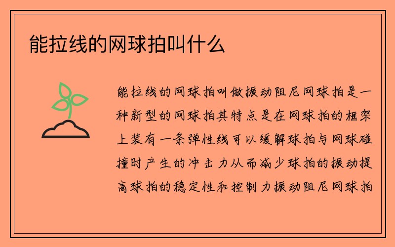 能拉线的网球拍叫什么