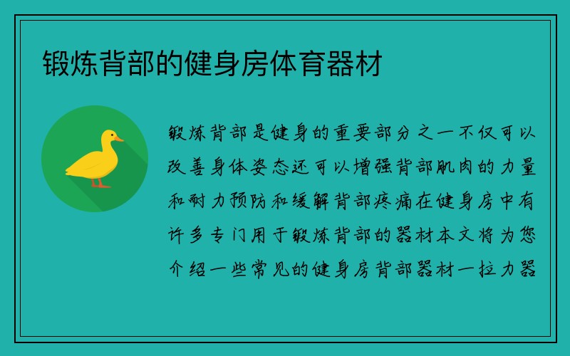 锻炼背部的健身房体育器材