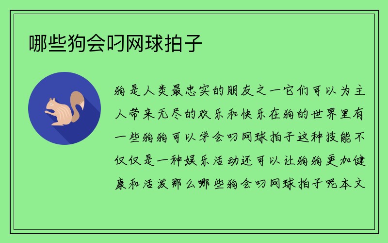 哪些狗会叼网球拍子