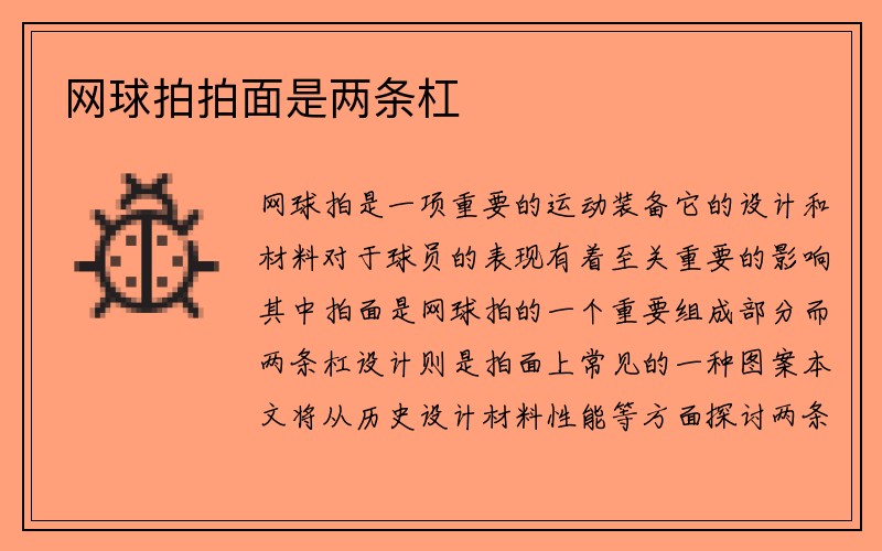 网球拍拍面是两条杠