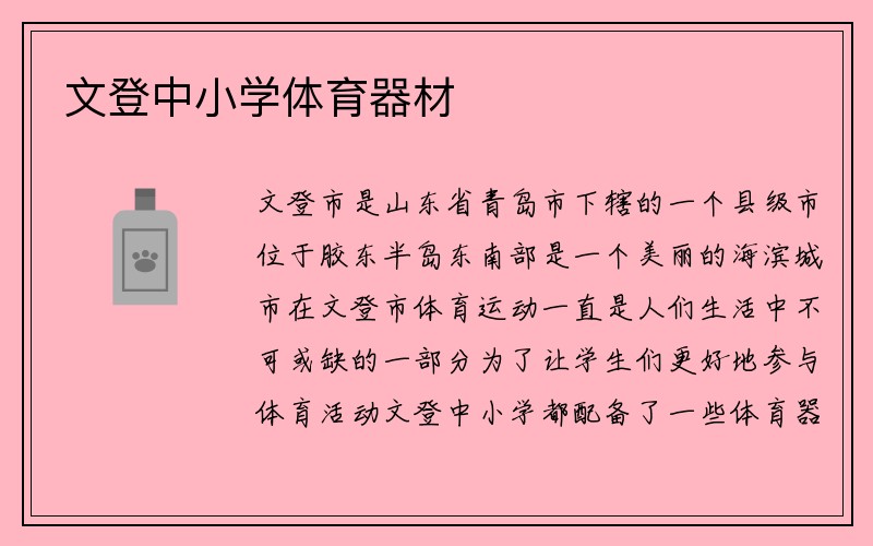 文登中小学体育器材