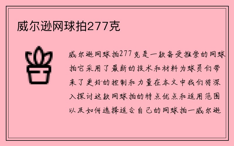 威尔逊网球拍277克